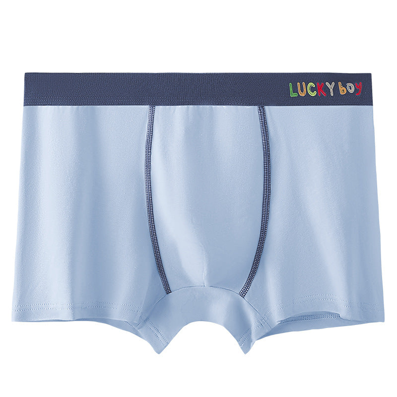 Boxer sans couture de sport coton homme — lot de 4, uni