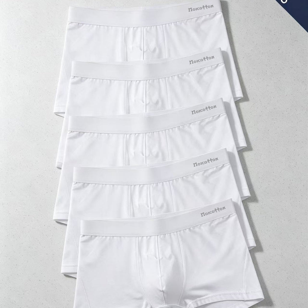 Blanc / FR L