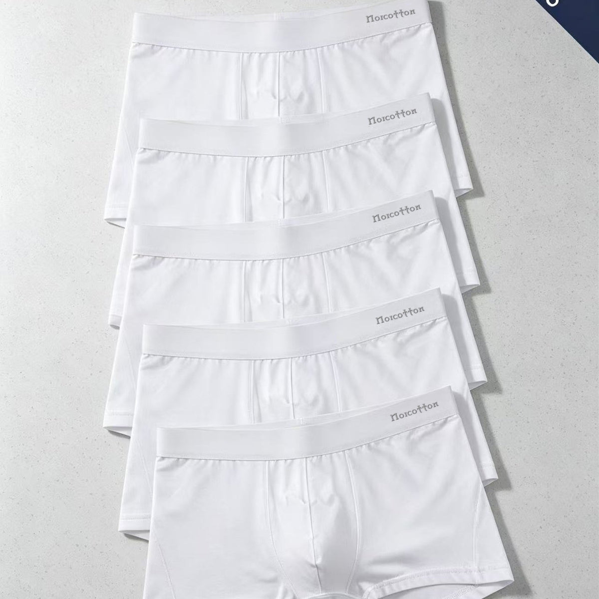 Blanc / FR L