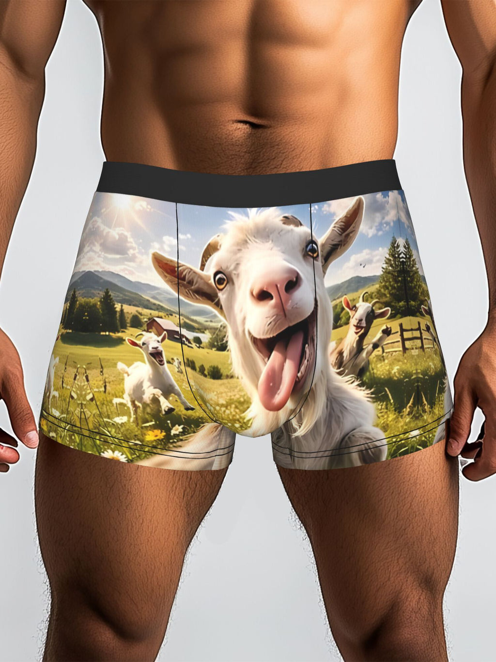Boxer imprimé microfibre homme, motif chèvre — vue 4