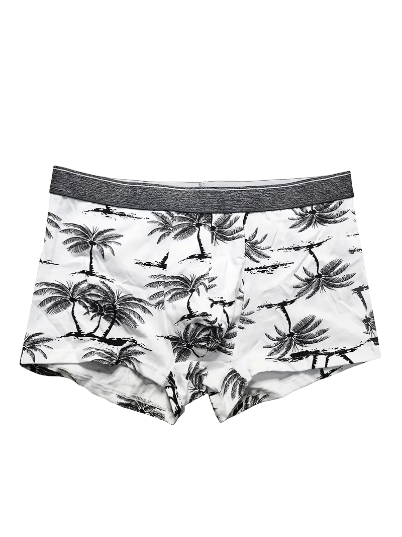 Boxer sexy respirant homme — lot de 4, coupe échancrée