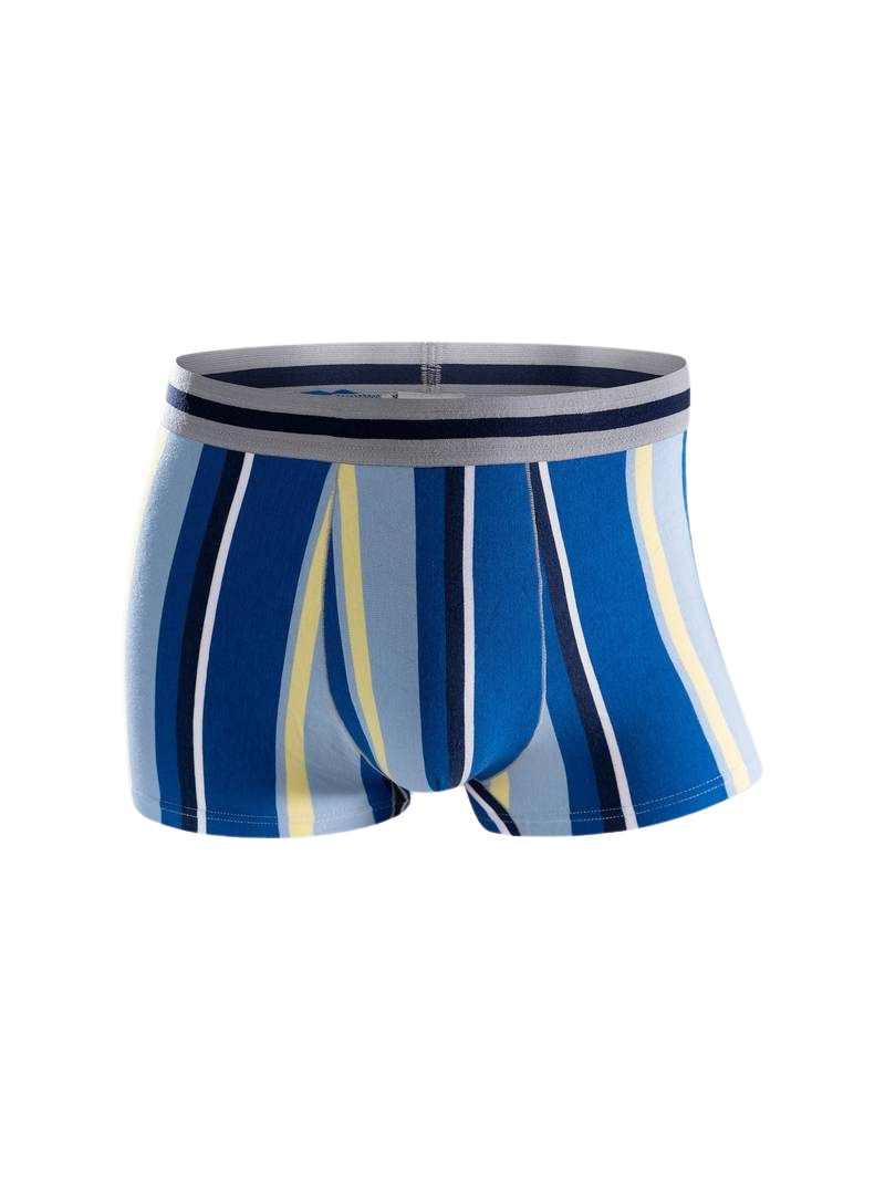 Boxer sans couture homme — lot de 5, coupe courte