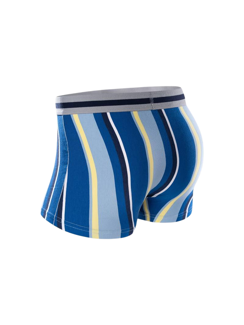 Boxer sans couture homme — lot de 5, coupe courte