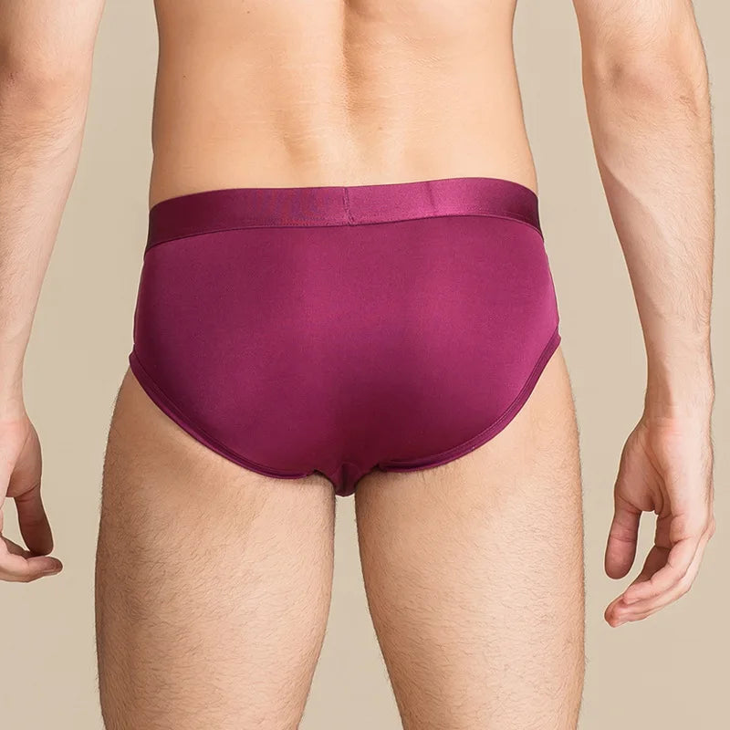 Slip soie homme, 4 coloris — vue 7