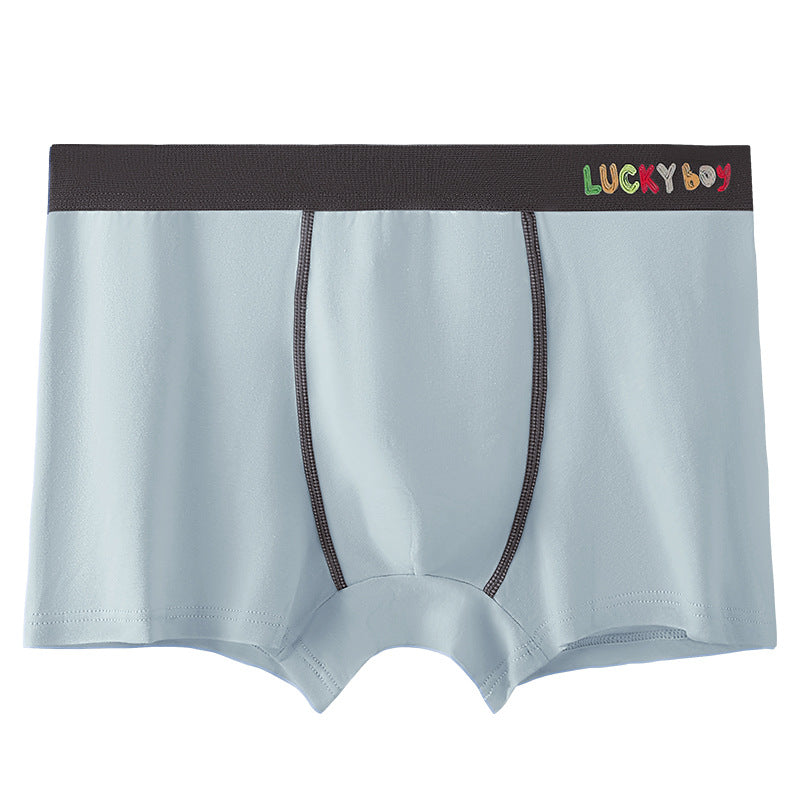 Boxer sans couture de sport coton homme — lot de 4, uni