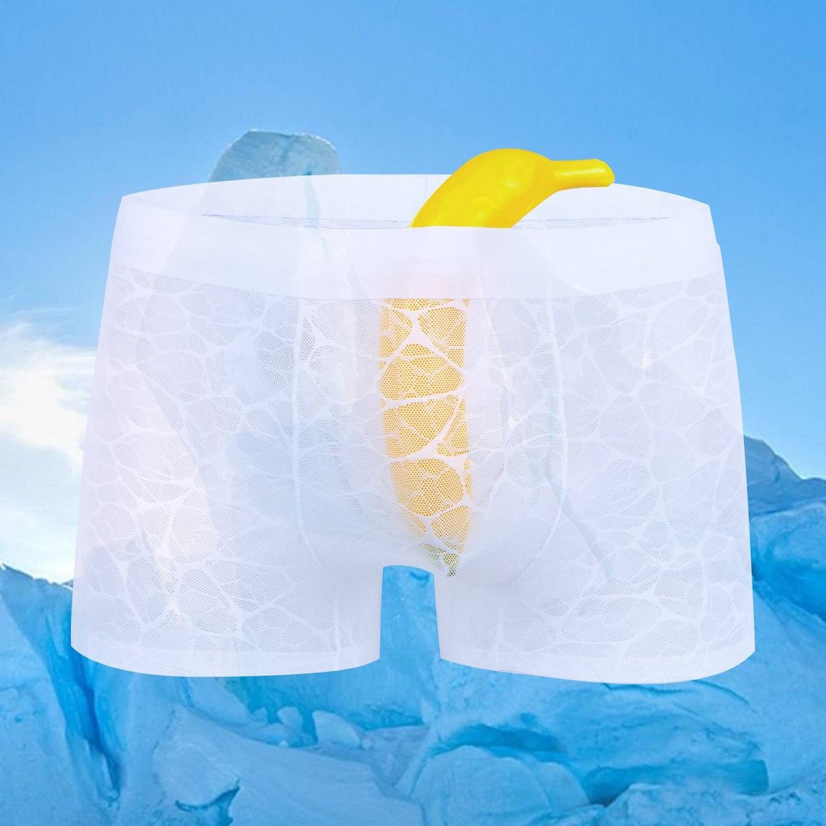 1 Pièces Blanc