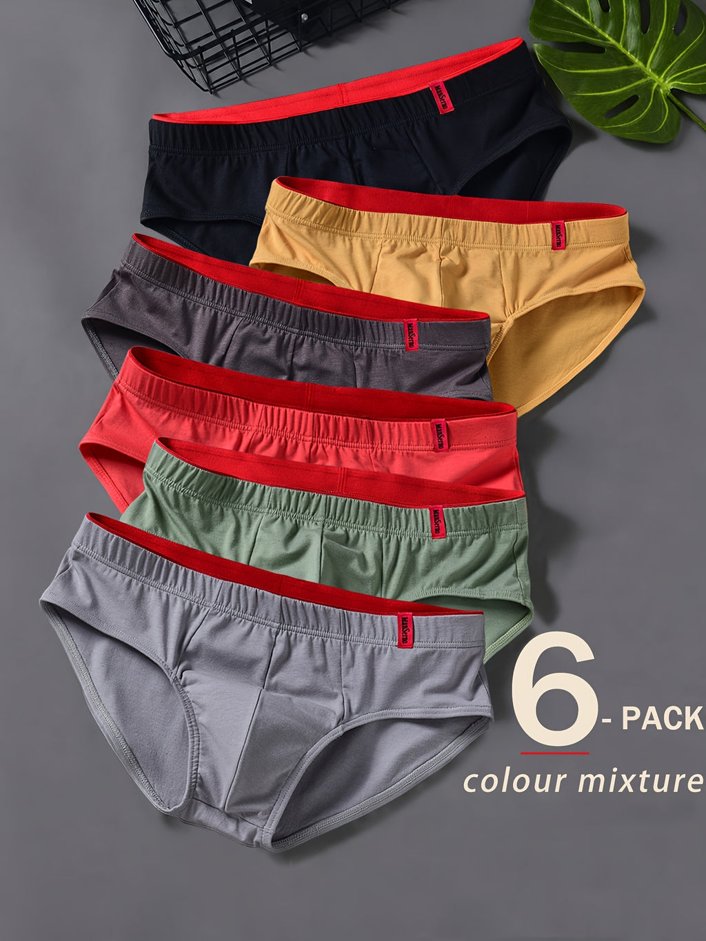 Slip coton homme — lot de 6, peu extensible, lavage à la main, 5 % d'élasthanne